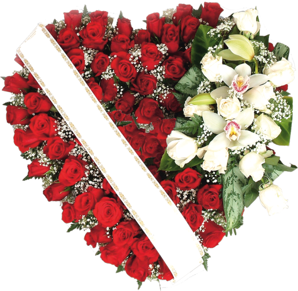 Corazón CZ1