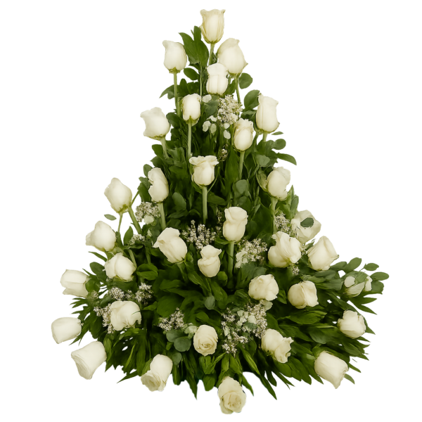 Centro blanco